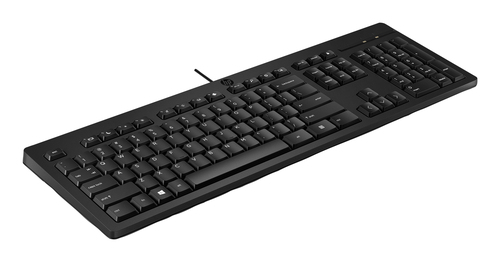 HPI TECLADO HP 125 G2 USB-A COM FIO PT PRETO