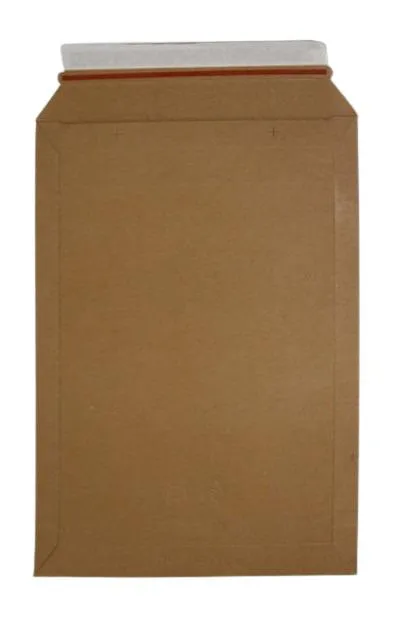 GENÉRICO ME ENVELOPE RÍGIDO 500G FTº250X353 COM FECHO DE SEGURANÇA CX/100